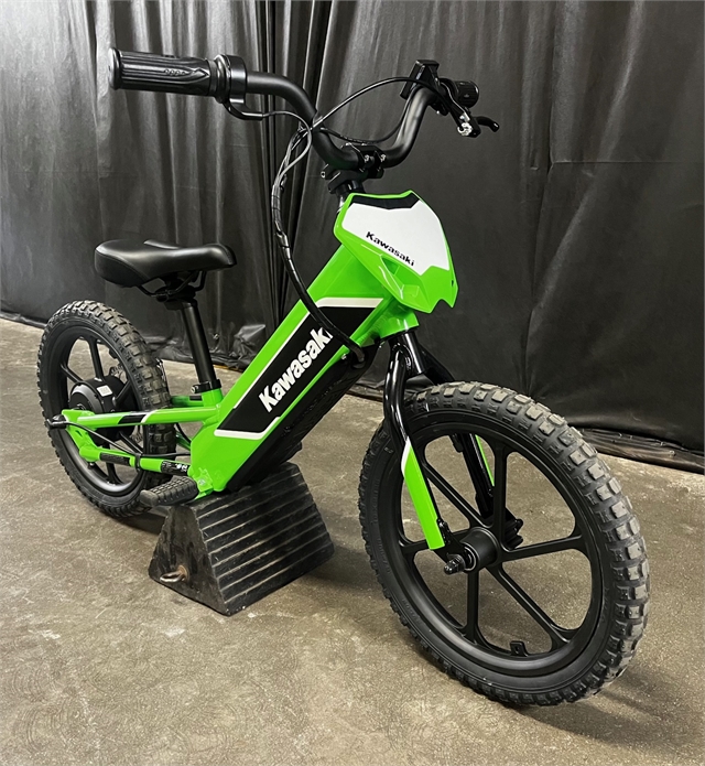 2023 Kawasaki Elektrode at Powersports St. Augustine