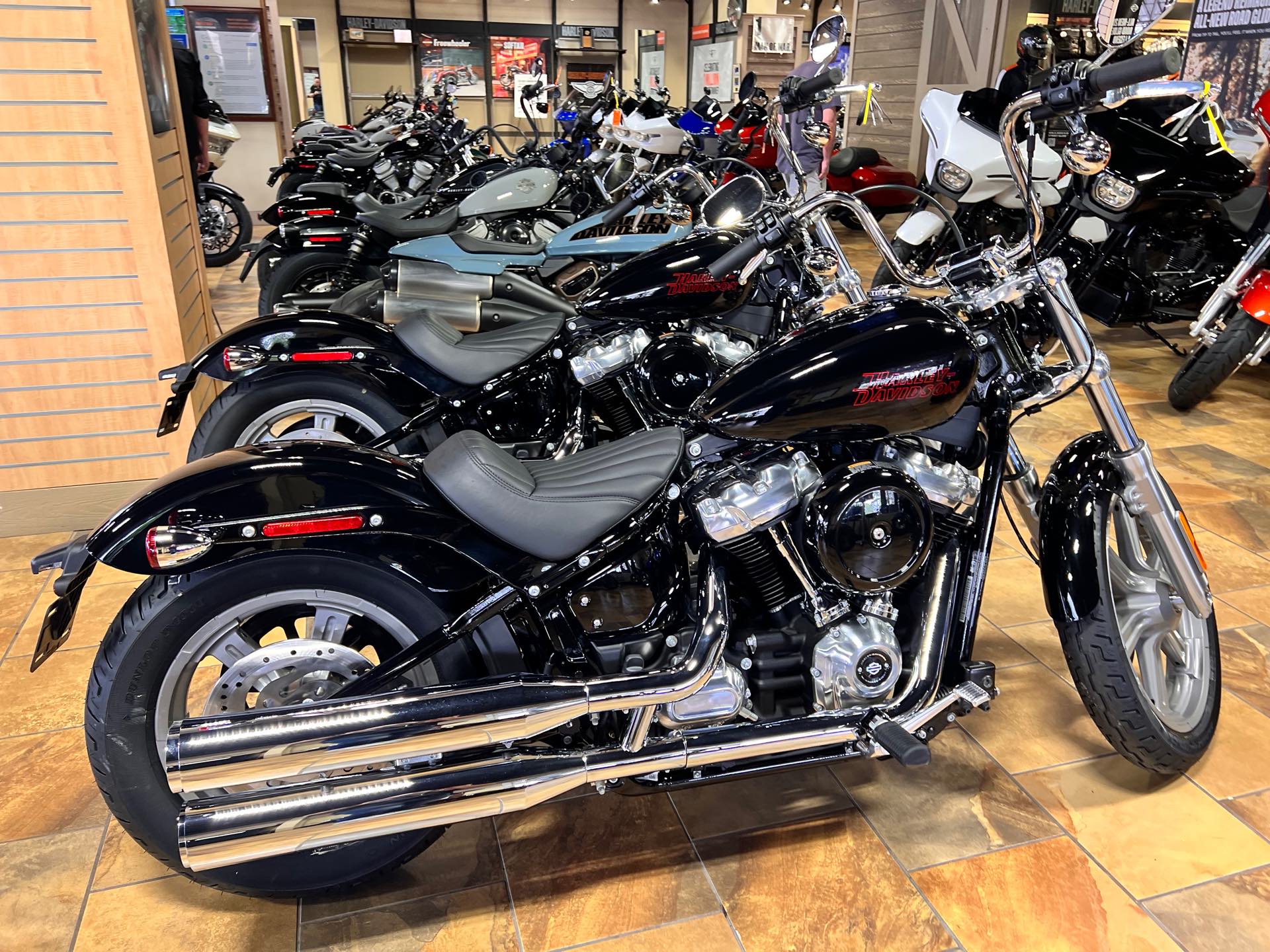 2024 Harley-Davidson Softail Standard at Man O'War Harley-Davidson®