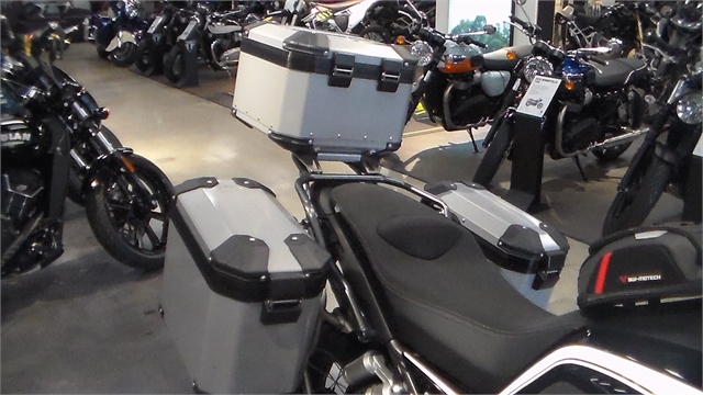 2022 Moto Guzzi V85 TT Guardia dOnore E5 at Dick Scott's Freedom Powersports
