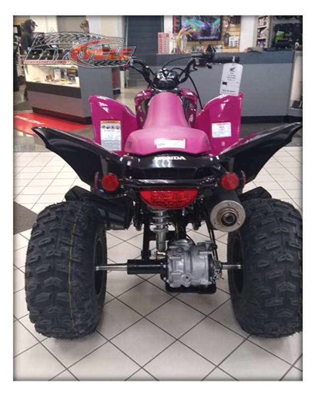 2021 Honda TRX 250X | Bay Cycle Sales