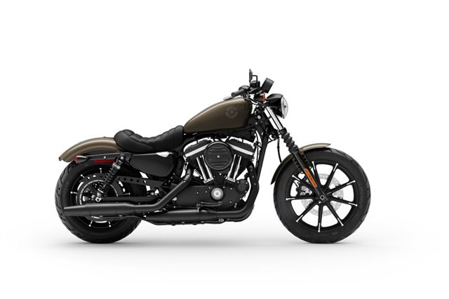 2020 Harley-Davidson Sportster Iron 883 at San Jose Harley-Davidson