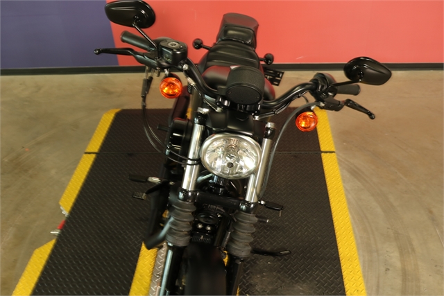 2019 Harley-Davidson Sportster Iron 883 at Texas Harley