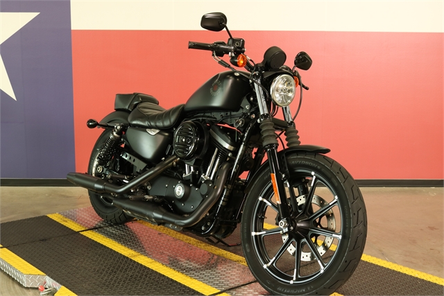 2019 Harley-Davidson Sportster Iron 883 at Texas Harley