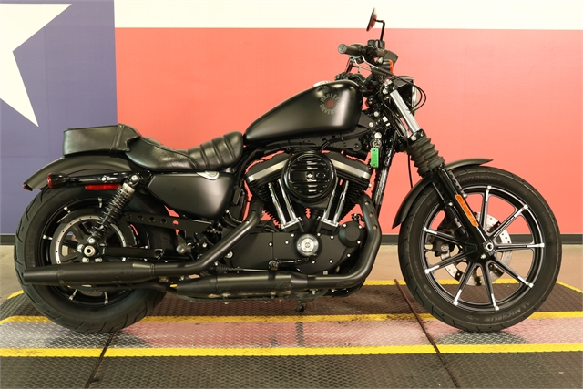 2019 Harley-Davidson Sportster Iron 883 at Texas Harley