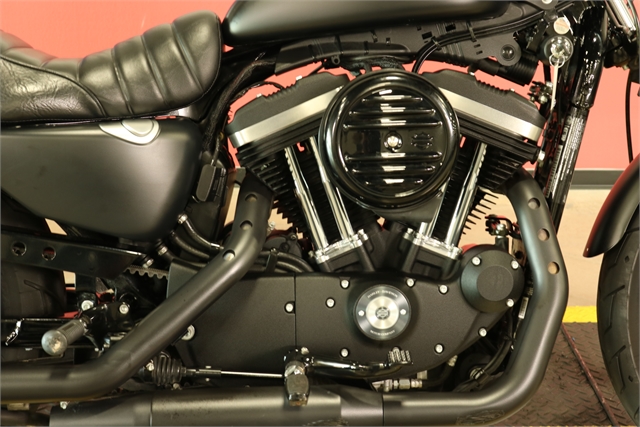 2019 Harley-Davidson Sportster Iron 883 at Texas Harley