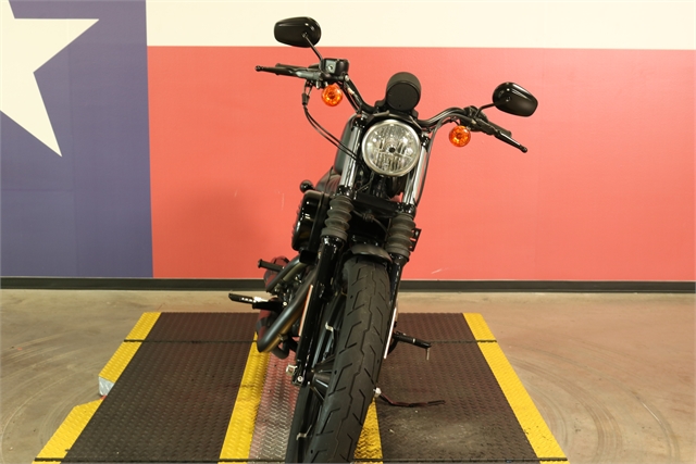 2019 Harley-Davidson Sportster Iron 883 at Texas Harley