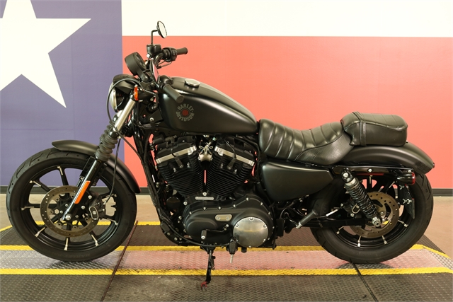 2019 Harley-Davidson Sportster Iron 883 at Texas Harley