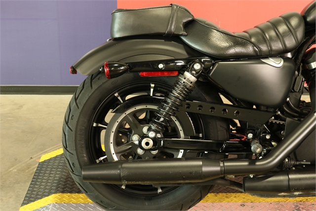 2019 Harley-Davidson Sportster Iron 883 at Texas Harley