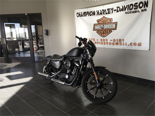 2019 Harley-Davidson Sportster Iron 883 at Champion Harley-Davidson