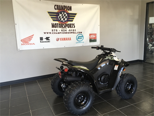 2022 Kawasaki KFX 90 at Champion Motorsports