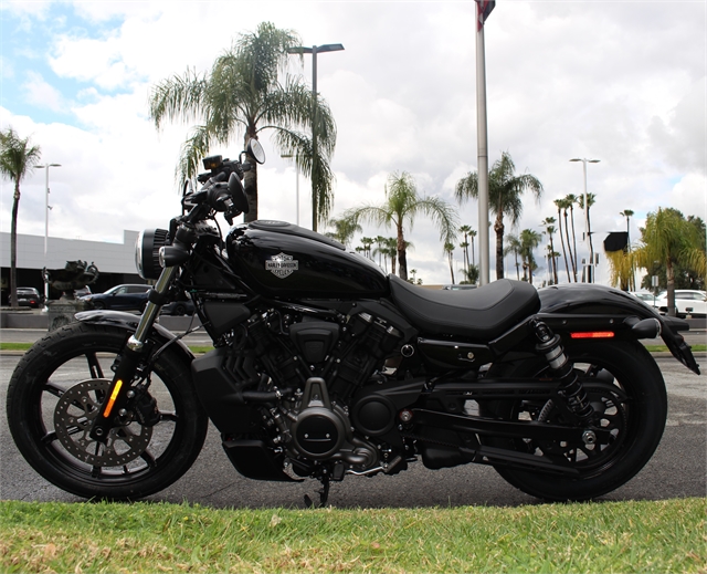 2024 Harley-Davidson Sportster Nightster at Quaid Harley-Davidson, Loma Linda, CA 92354