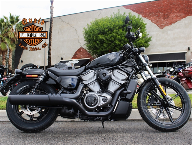 2024 Harley-Davidson Sportster Nightster at Quaid Harley-Davidson, Loma Linda, CA 92354