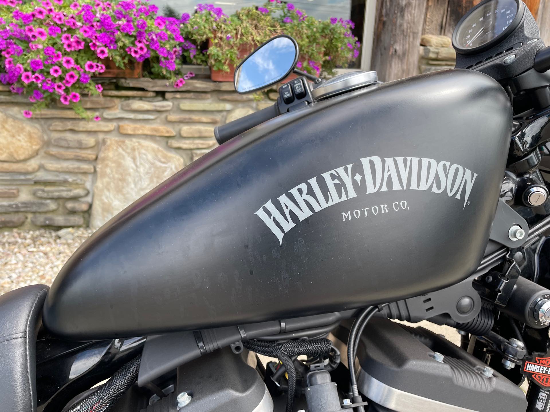 2015 Harley-Davidson Sportster Iron 883 at Arkport Cycles