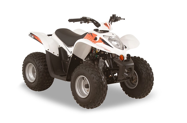 2021 Argo ATV at Harsh Outdoors, Eaton, CO 80615