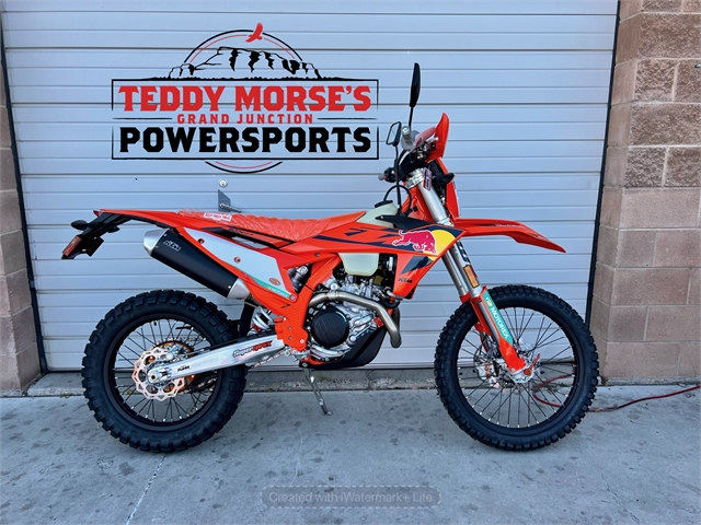 2025 KTM EXC 500 F Champion Edition at Teddy Morse Grand Junction Powersports