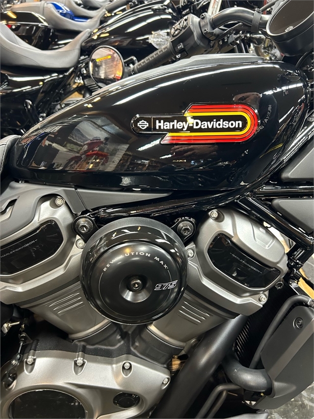 2023 Harley-Davidson Sportster Nightster Special at Holeshot Harley-Davidson