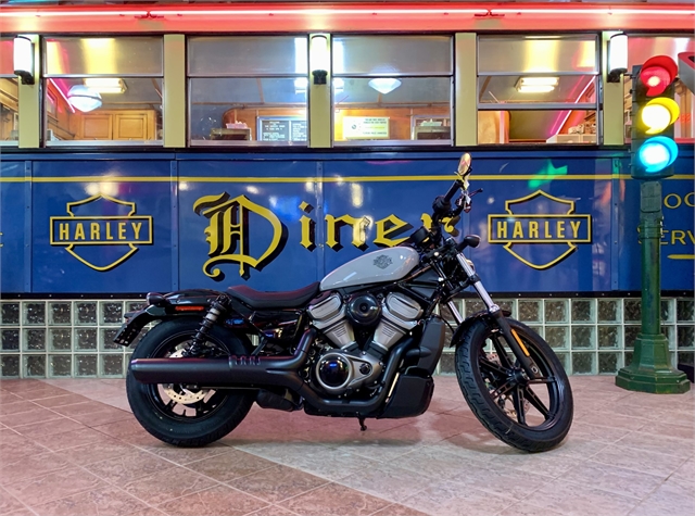 2024 Harley-Davidson Sportster Nightster