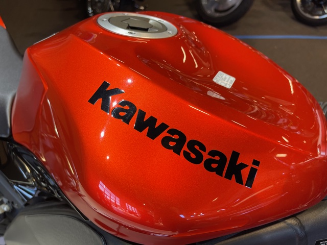 2009 Kawasaki Ninja ZX-10R at Martin Moto
