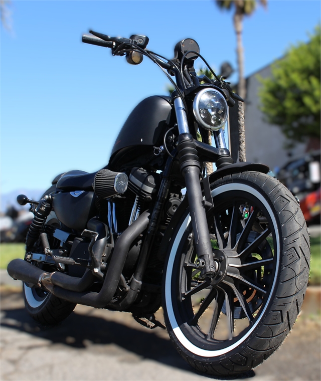 2009 Harley-Davidson Sportster Iron 883 at Quaid Harley-Davidson, Loma Linda, CA 92354