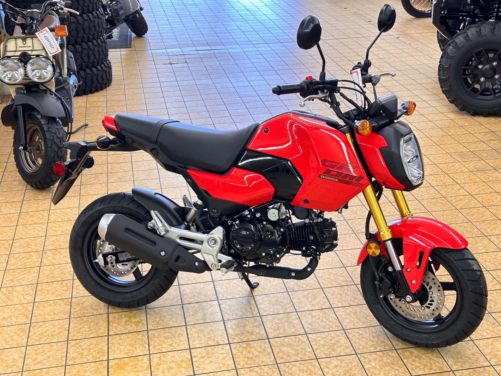 2025 Honda Grom Base at Southern Illinois Motorsports