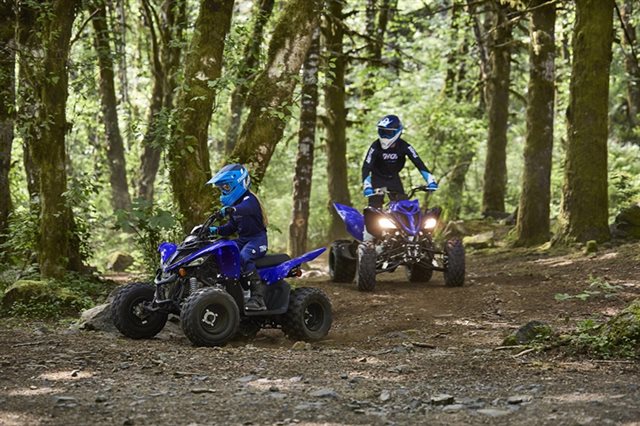 2024 Yamaha Raptor 110 at Wood Powersports - Splash Page