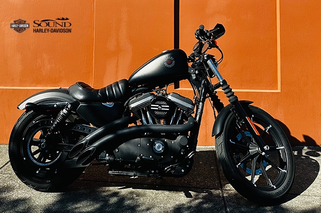 2019 Harley-Davidson Sportster Iron 883 at Sound Harley-Davidson