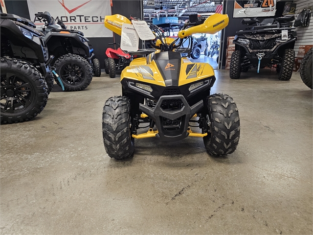 2024 Denago Mudhawk 6 110cc FI at Matt's ATV & Offroad