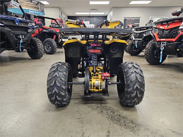 2024 Denago Mudhawk 6 110cc FI at Matt's ATV & Offroad