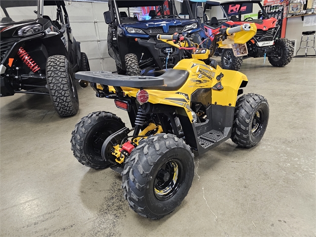 2024 Denago Mudhawk 6 110cc FI at Matt's ATV & Offroad