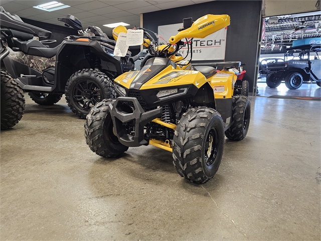 2024 Denago Mudhawk 6 110cc FI at Matt's ATV & Offroad