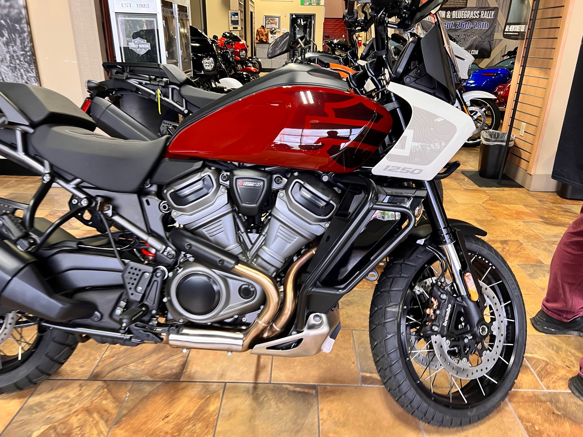 2024 Harley-Davidson Pan America 1250 Special at Man O'War Harley-Davidson®