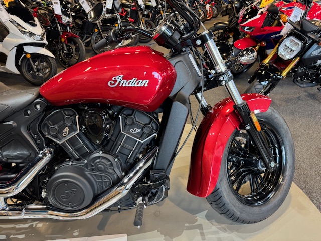 2021 Indian Motorcycle Scout Sixty at Martin Moto