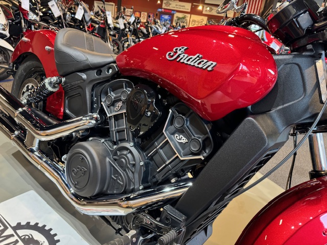 2021 Indian Motorcycle Scout Sixty at Martin Moto