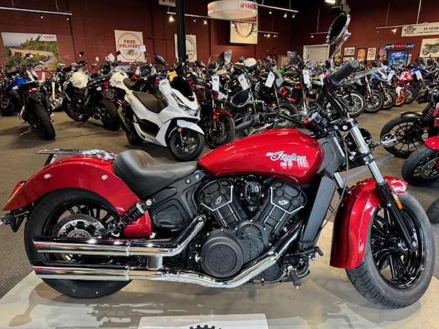 2021 Indian Motorcycle Scout Sixty at Martin Moto