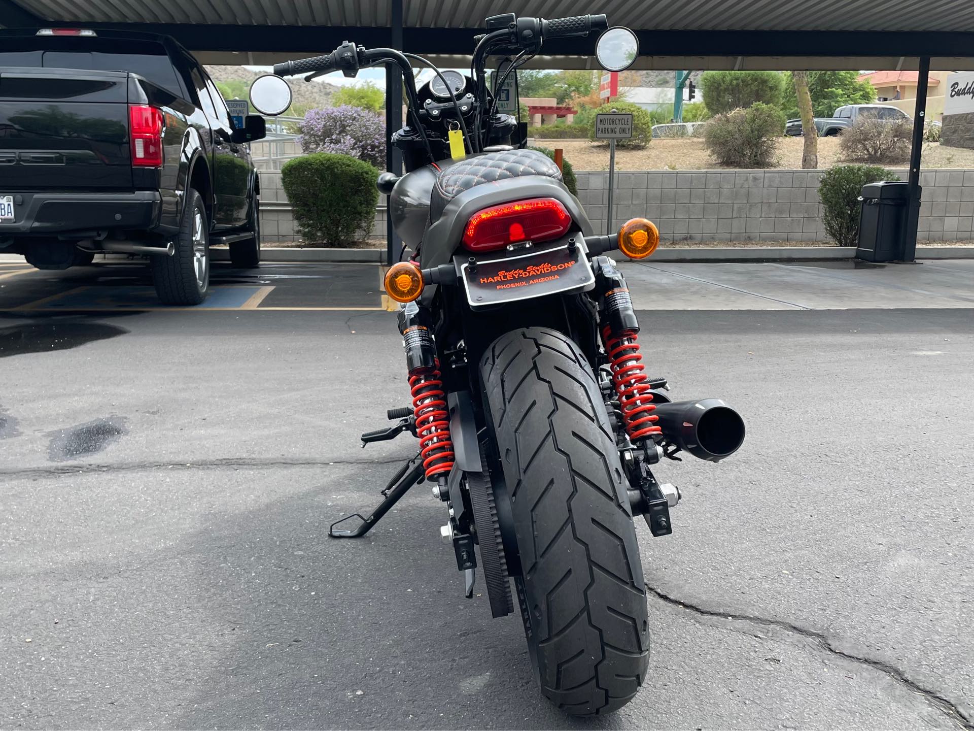 2019 Harley-Davidson Street Rod at Buddy Stubbs Arizona Harley-Davidson