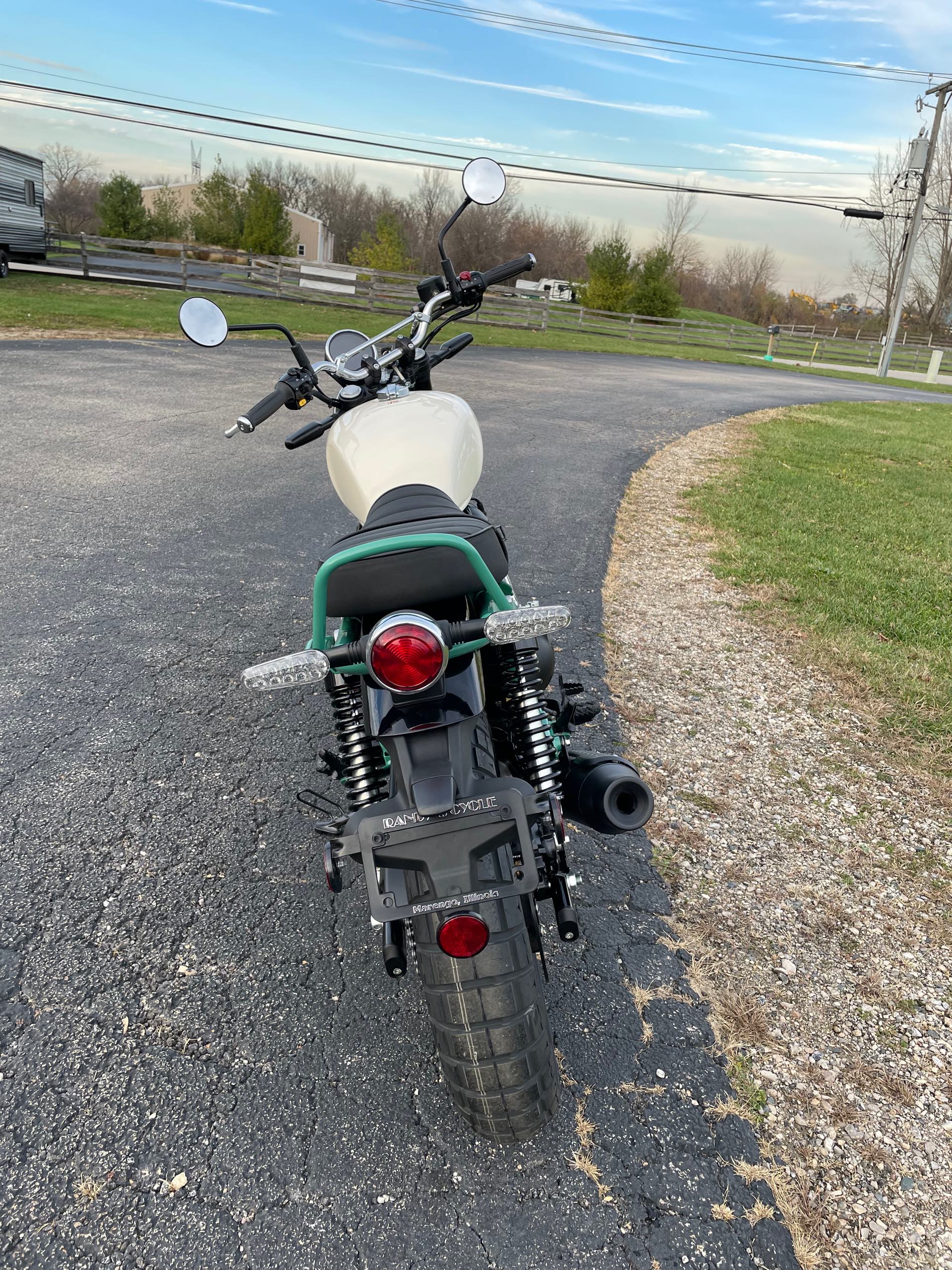 2025 ROYAL ENFIELD BEAR 650 - TWO FOUR NINE at Randy's Cycle