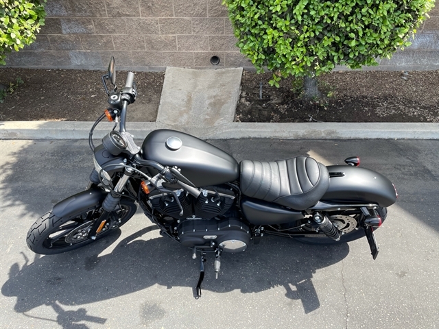 2021 Harley-Davidson Street XL 883N Iron 883 at Fresno Harley-Davidson