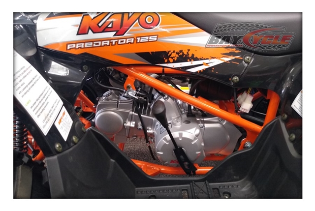 2024 Kayo Predator 125 at Bay Cycle Sales