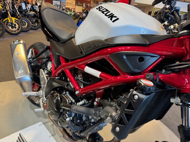 2021 Suzuki SV 650 ABS at Martin Moto