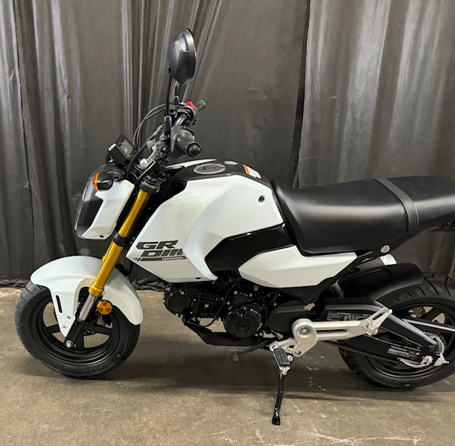 2025 Honda Grom Base at Powersports St. Augustine