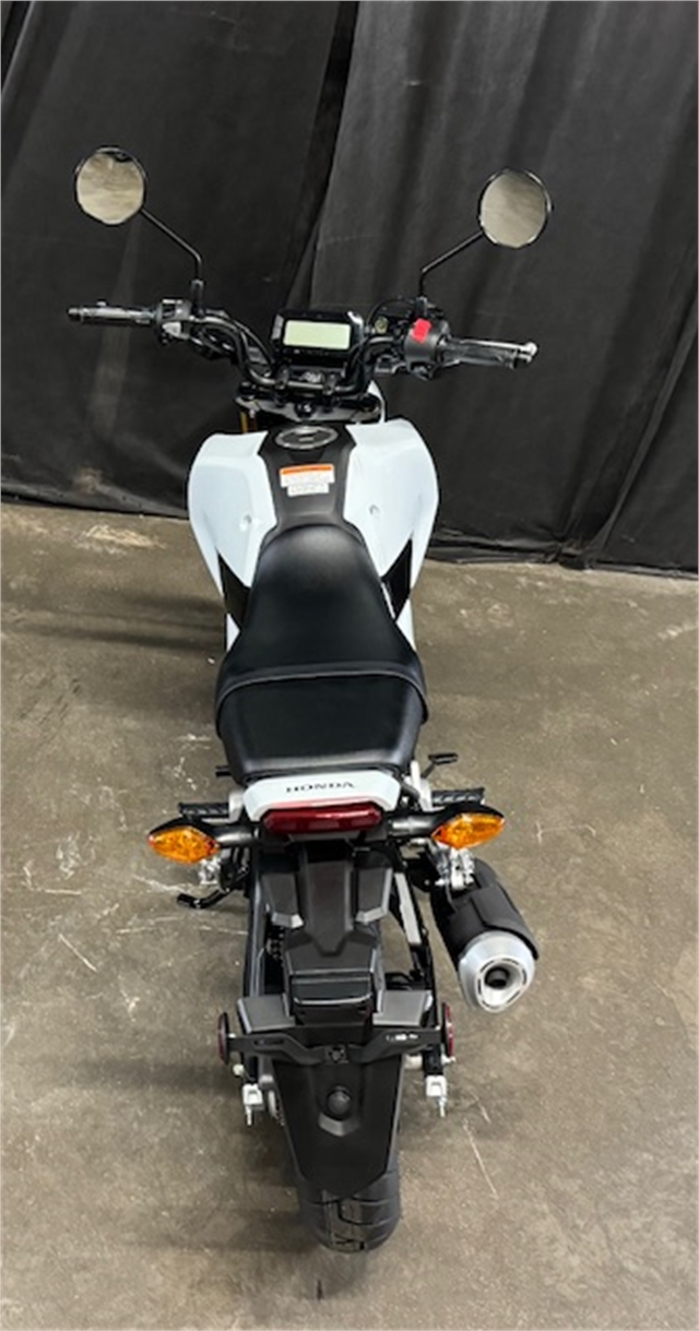 2025 Honda Grom Base at Powersports St. Augustine