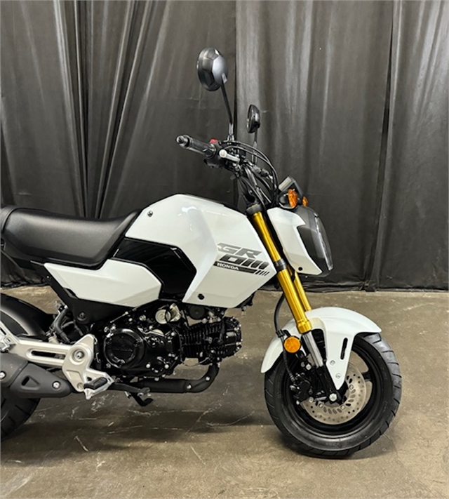 2025 Honda Grom Base at Powersports St. Augustine