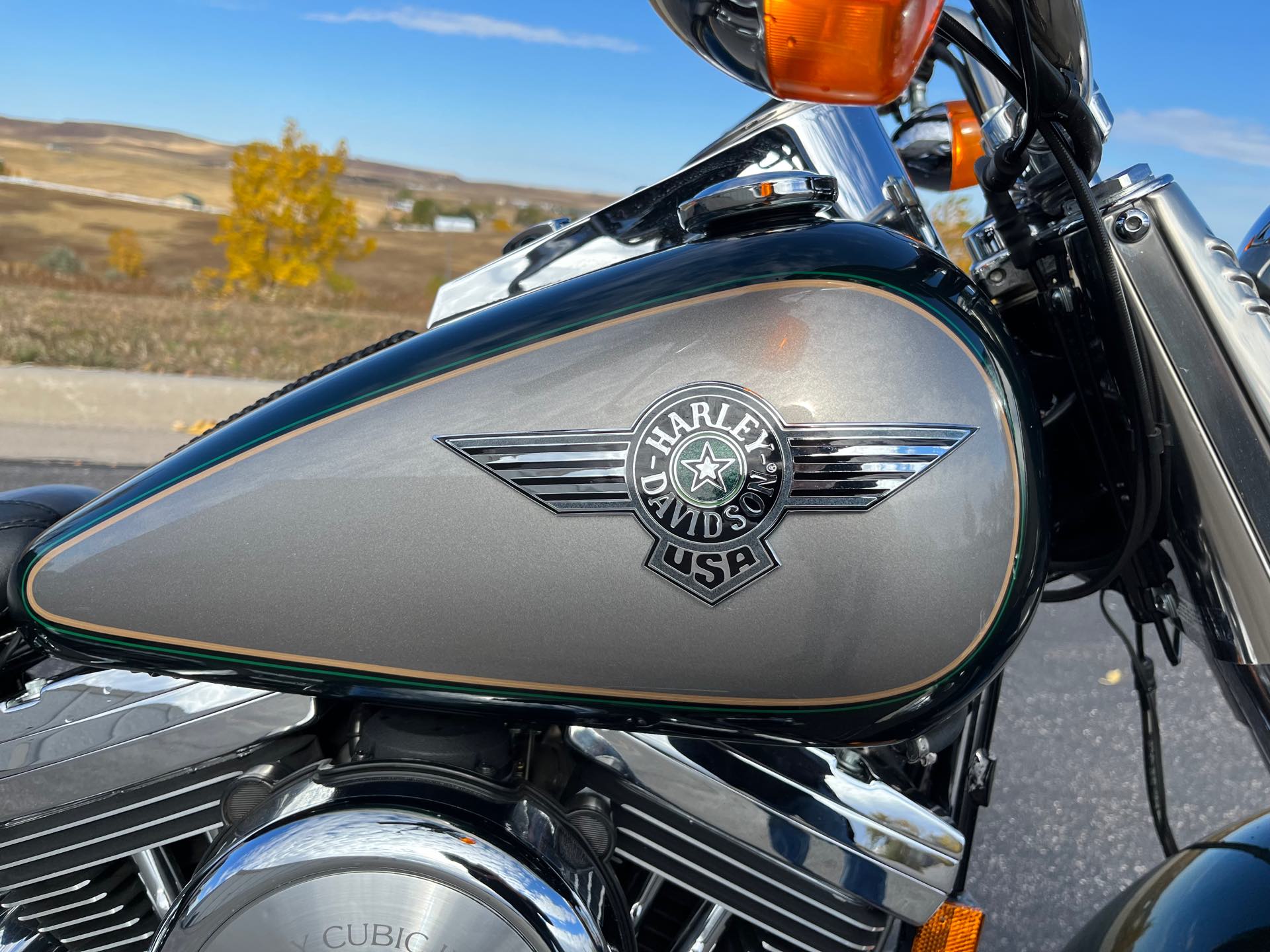 1996 Harley Davidson Heritage Softail Nostalgia FLSTN at Mount Rushmore Motorsports