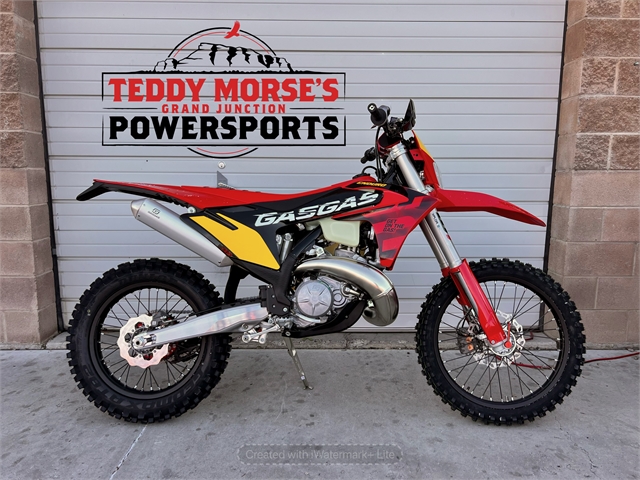 2025 GASGAS EC 300 GP at Teddy Morse Grand Junction Powersports