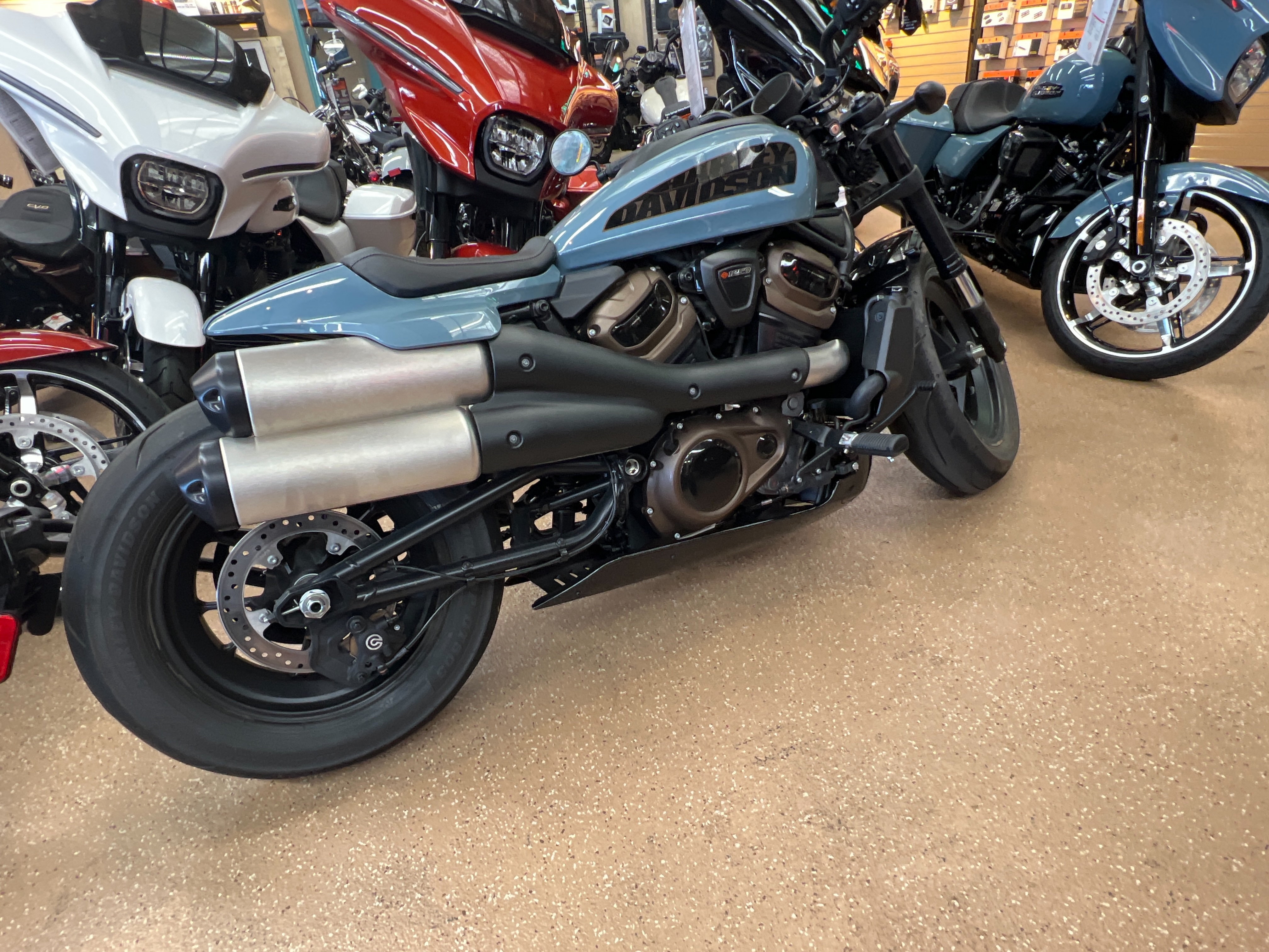 2024 Harley-Davidson Sportster at Palm Springs Harley-Davidson®