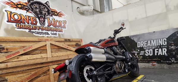 2024 Harley-Davidson Sportster at Lone Wolf Harley-Davidson