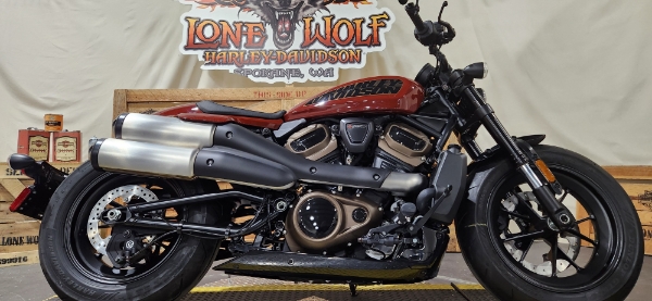 2024 Harley-Davidson Sportster at Lone Wolf Harley-Davidson