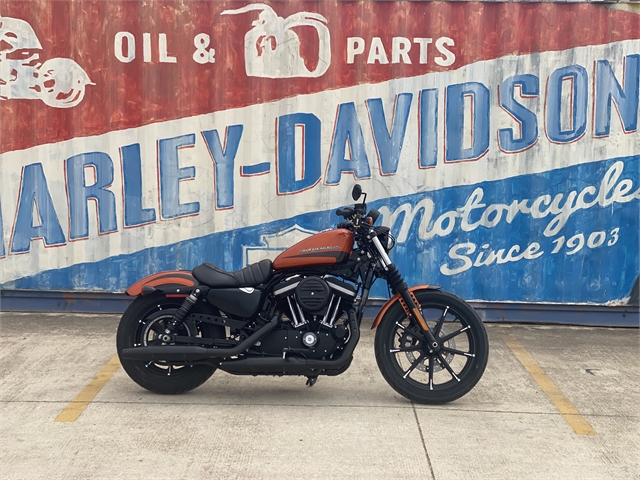 2020 Harley-Davidson Sportster Iron 883 at Gruene Harley-Davidson