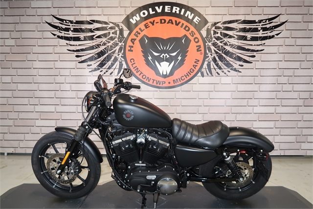 2020 Harley-Davidson Sportster Iron 883 at Wolverine Harley-Davidson