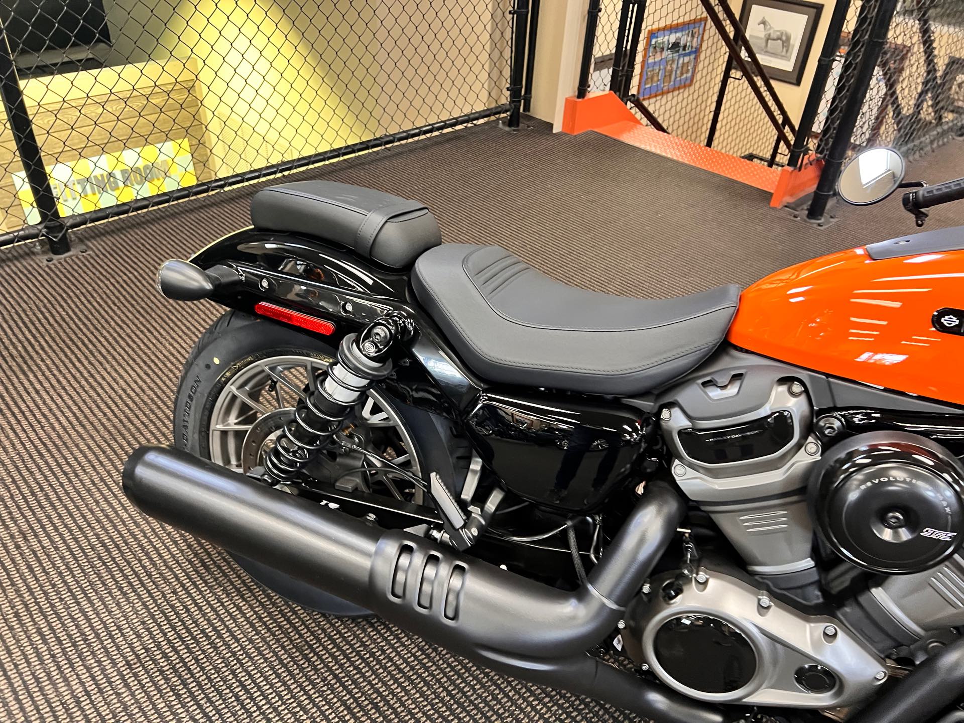 2024 Harley-Davidson Sportster Nightster Special at Man O'War Harley-Davidson®